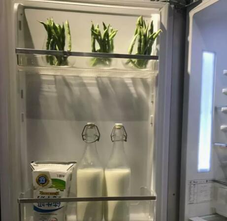 冰箱冷藏室排水管结冰是什么原因引起的