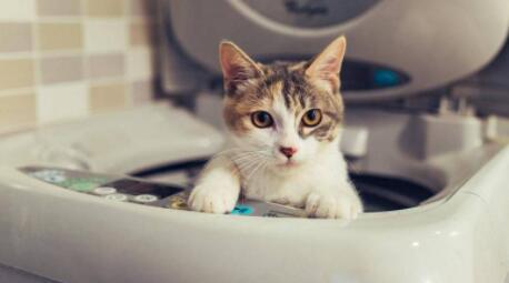 滚筒洗衣机霉菌斑如何处理？